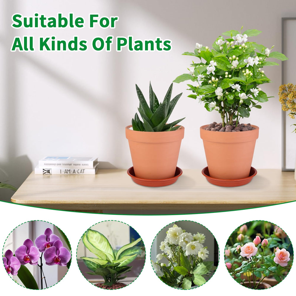 Display of Tuqaumu terracotta pots with various houseplants