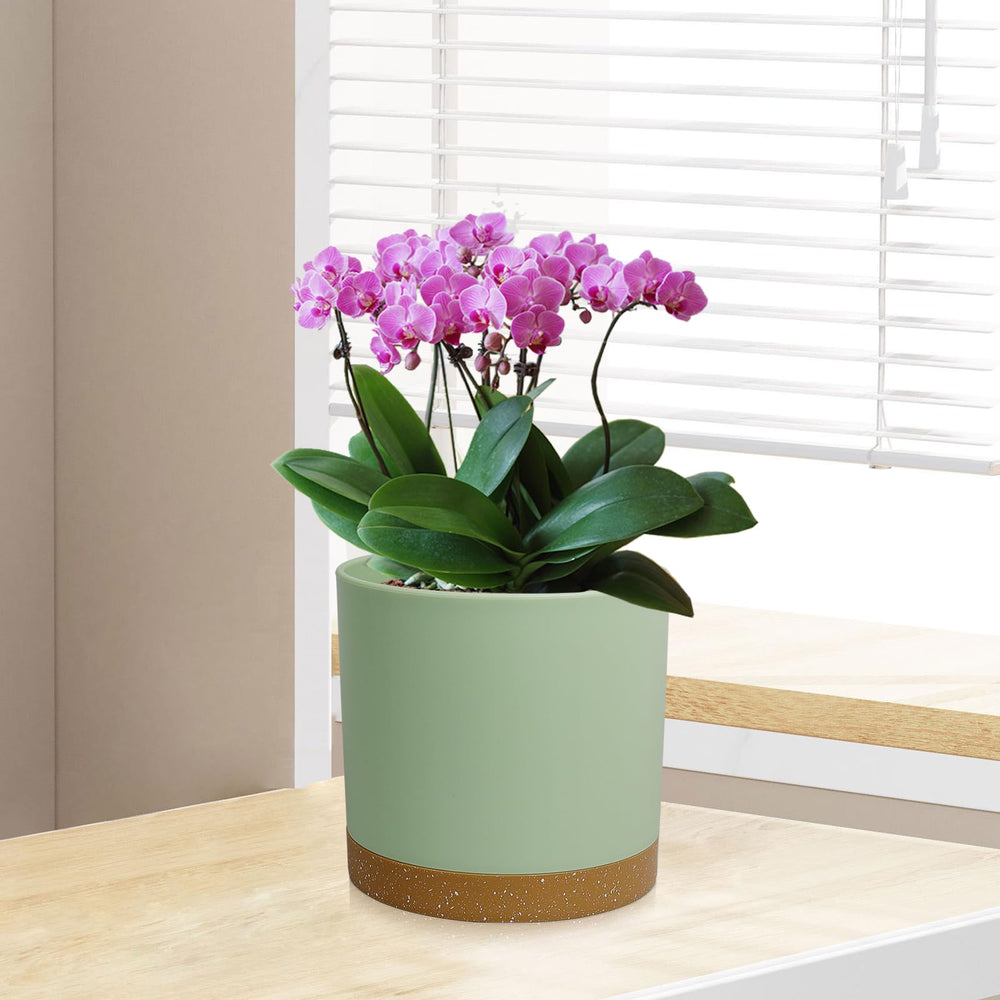 Display of WSMKSZ flower pots on a windowsill