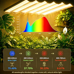 Display screen of MIEEMCLUX grow light showing timer settings