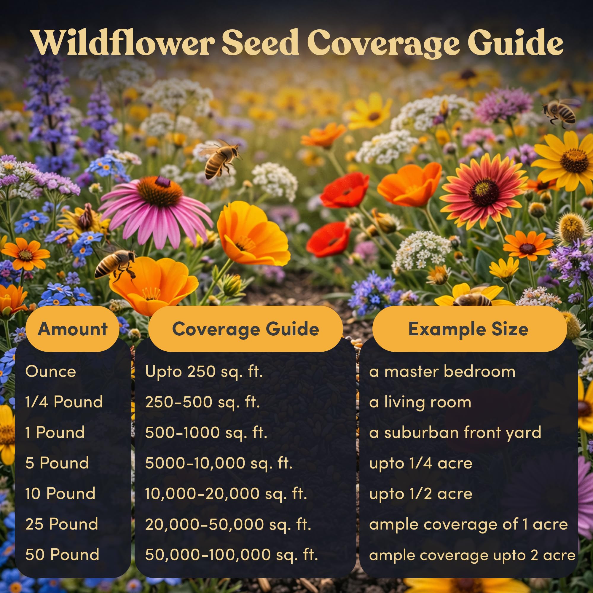 Diverse flower varieties included in GevaGrow seed mix