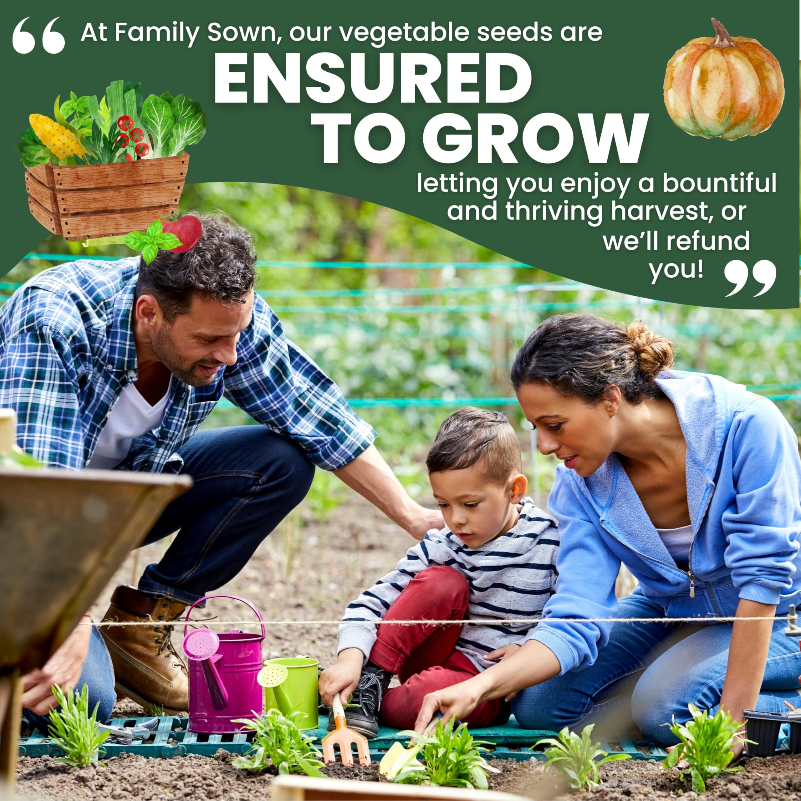 Diverse selection of seeds in Family Sown's variety pack