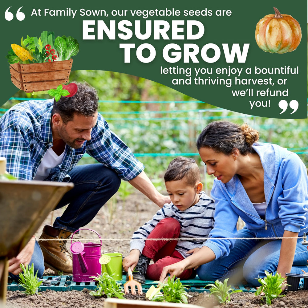 Diverse selection of seeds in Family Sown's variety pack