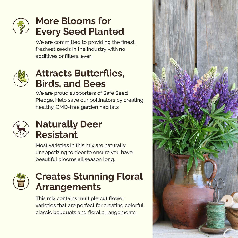Diverse wildflower blooms from Eden Brothers Texas mix