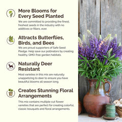 Diverse wildflower blooms from Eden Brothers Texas mix