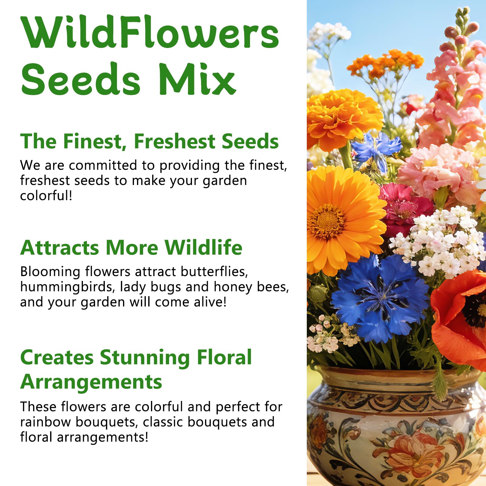 Diverse wildflowers blooming in a garden bed from LUOJIBIE seeds