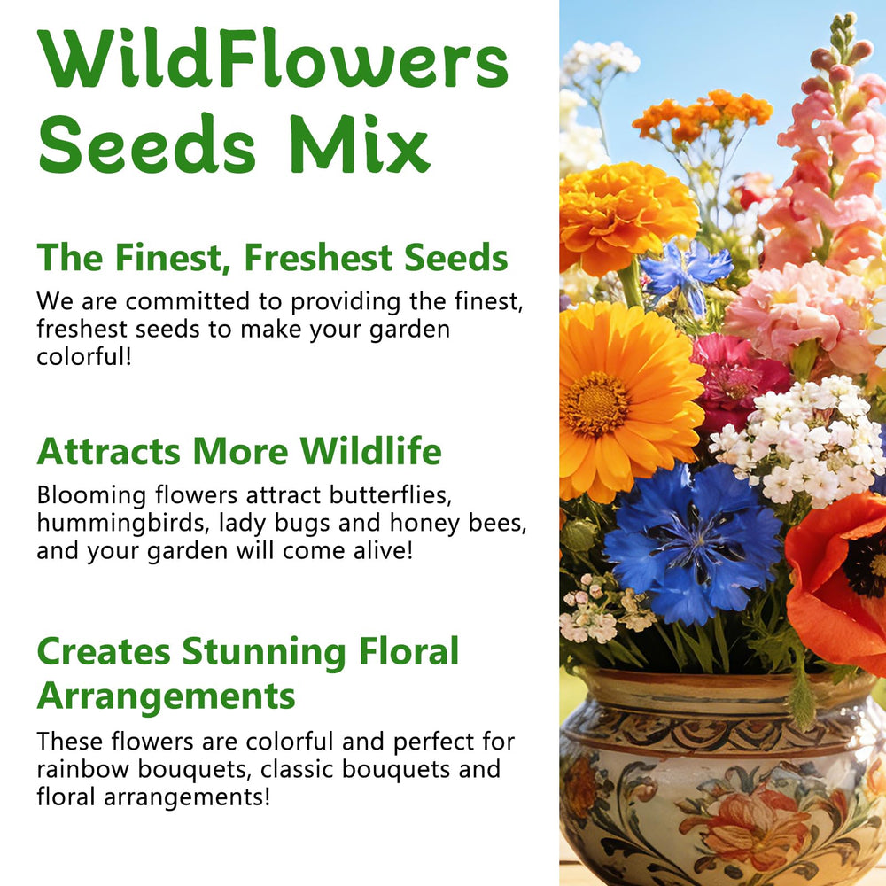 Diverse wildflowers blooming in a garden bed from LUOJIBIE seeds