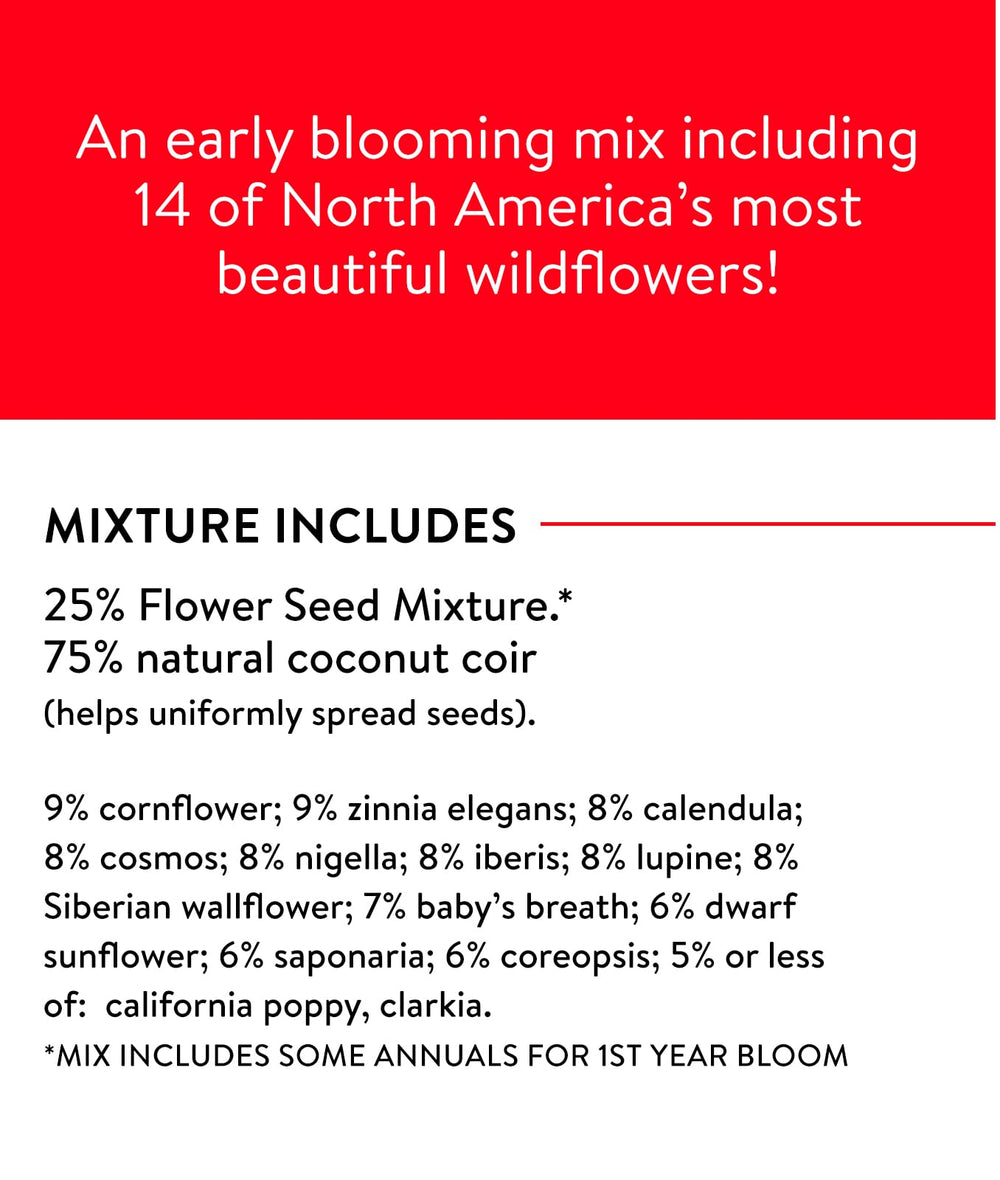 Diverse wildflowers including zinnia and cornflower from Burpee mix