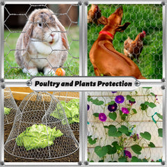 DIY craft project using Fabulas Chicken Wire
