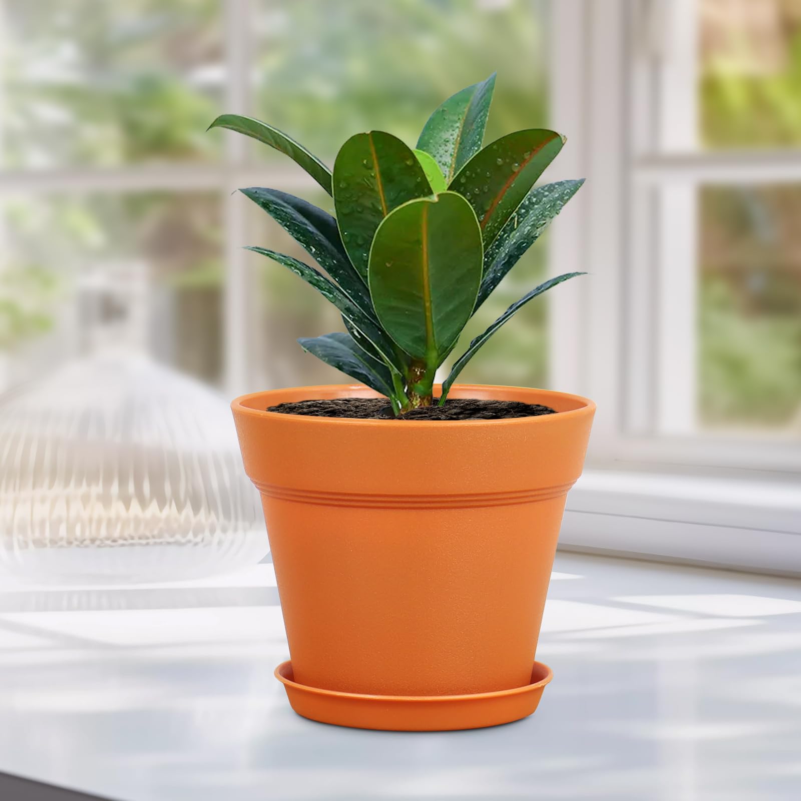 DIY decorated Meowell nursery pots with vibrant colours