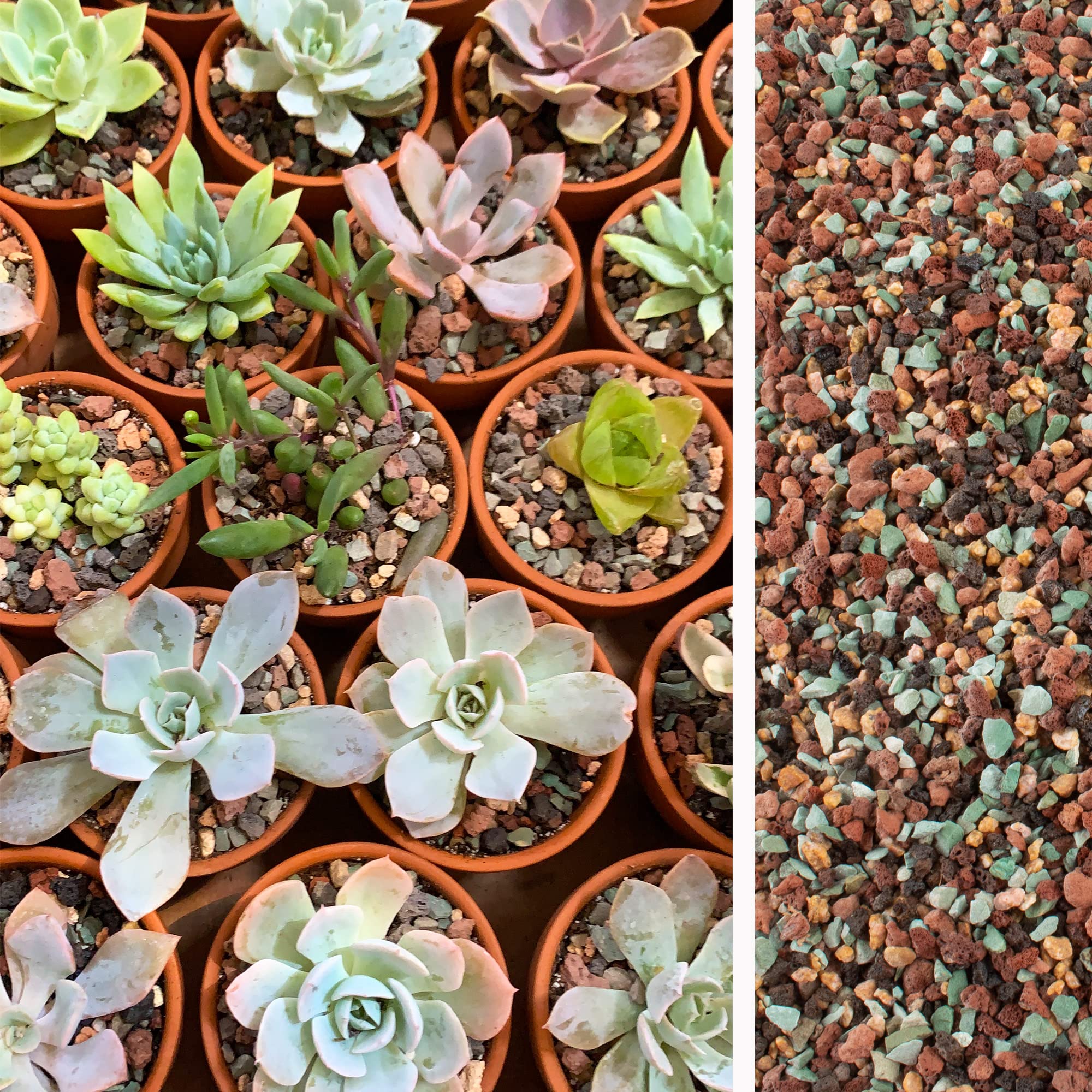 DIY fairy garden with mixed lava rocks