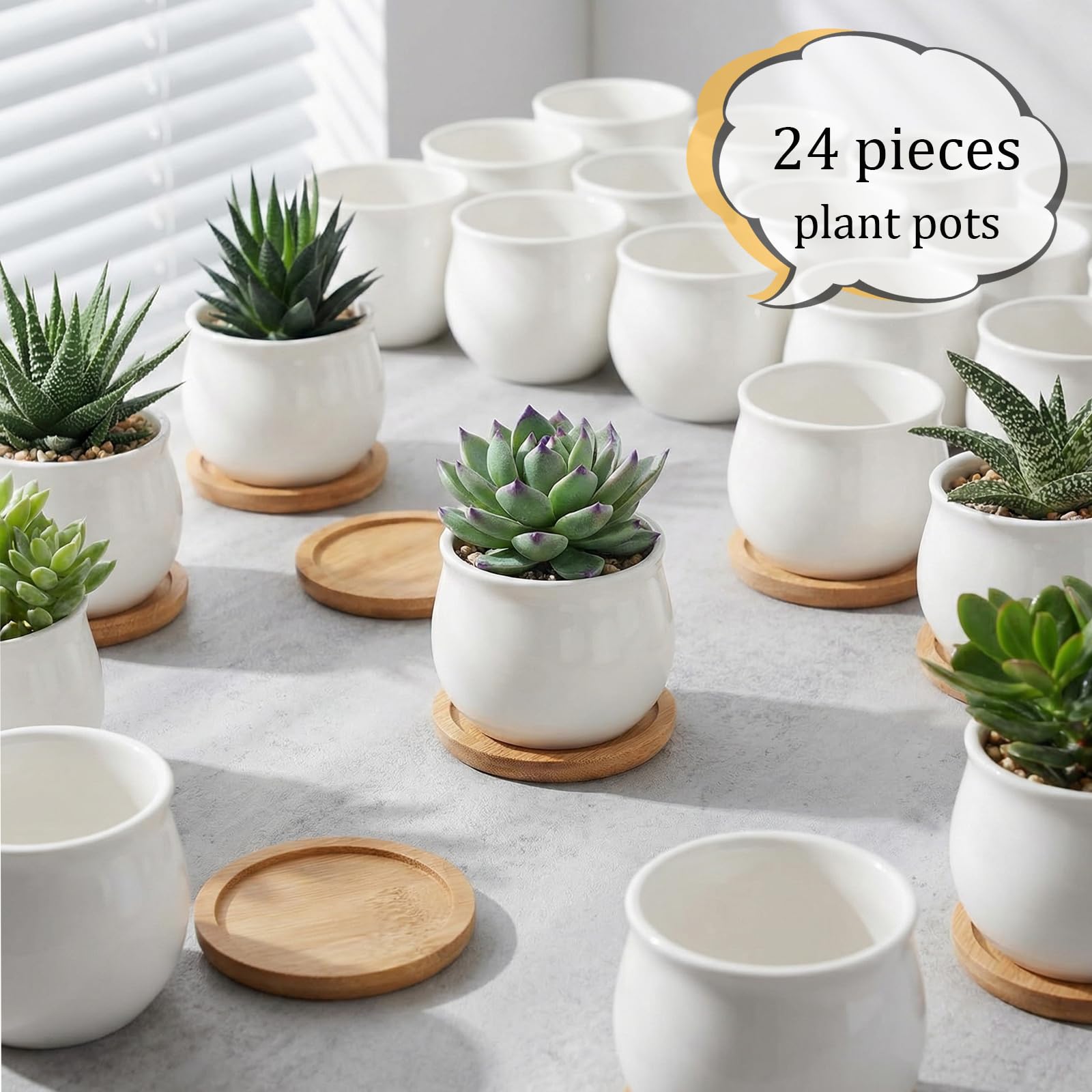 DIY painted SHECIPIN succulent pots with creative designs