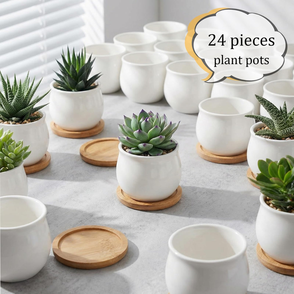 DIY painted SHECIPIN succulent pots with creative designs