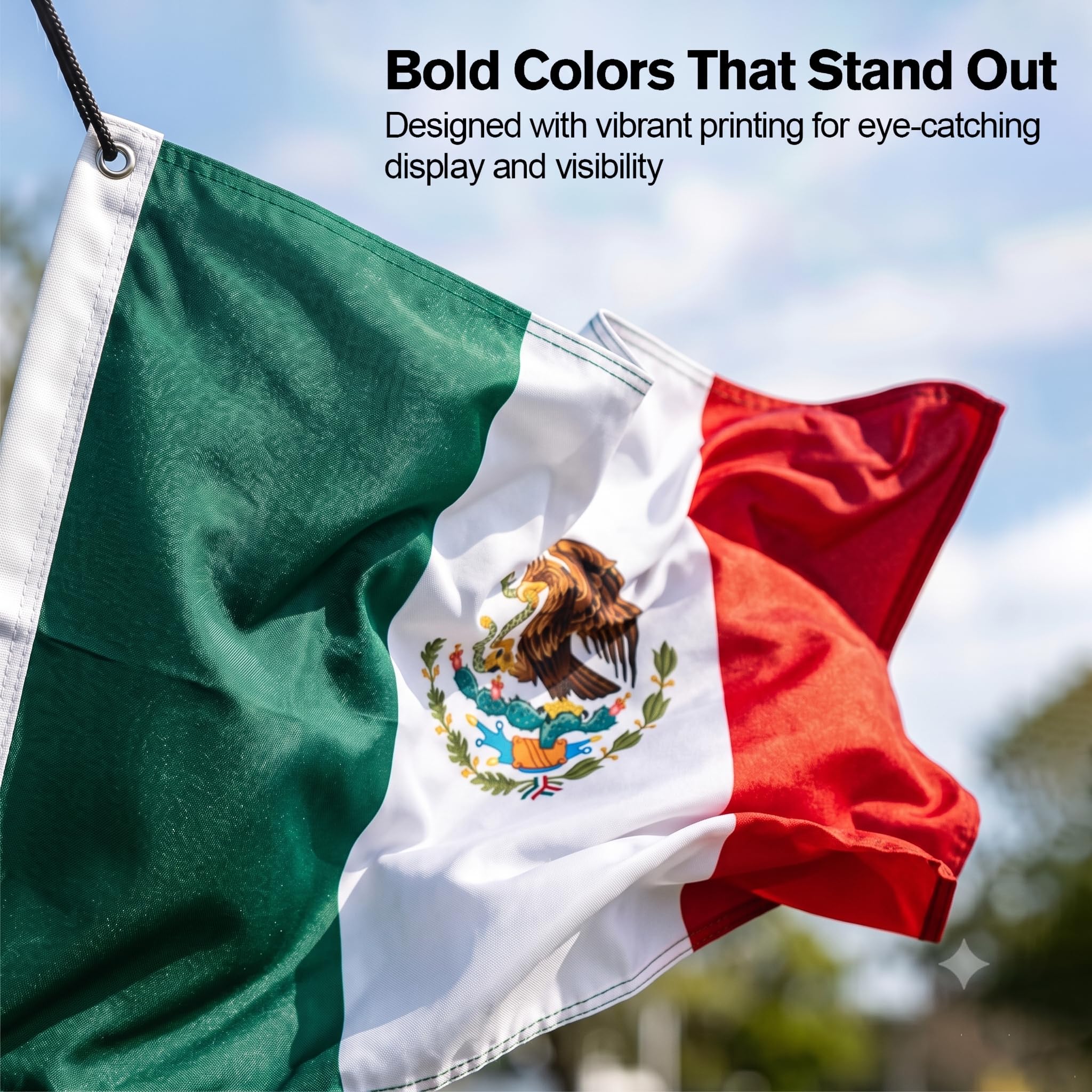 DMSE Mexico National Flag packaged with grommets