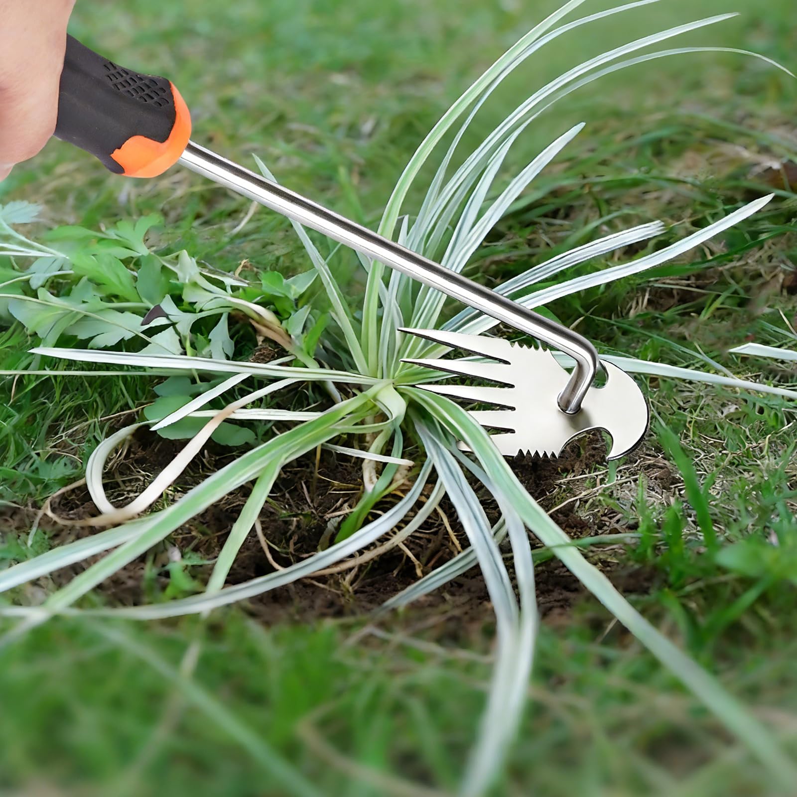 DMwespe Weed Puller Tool packaging display