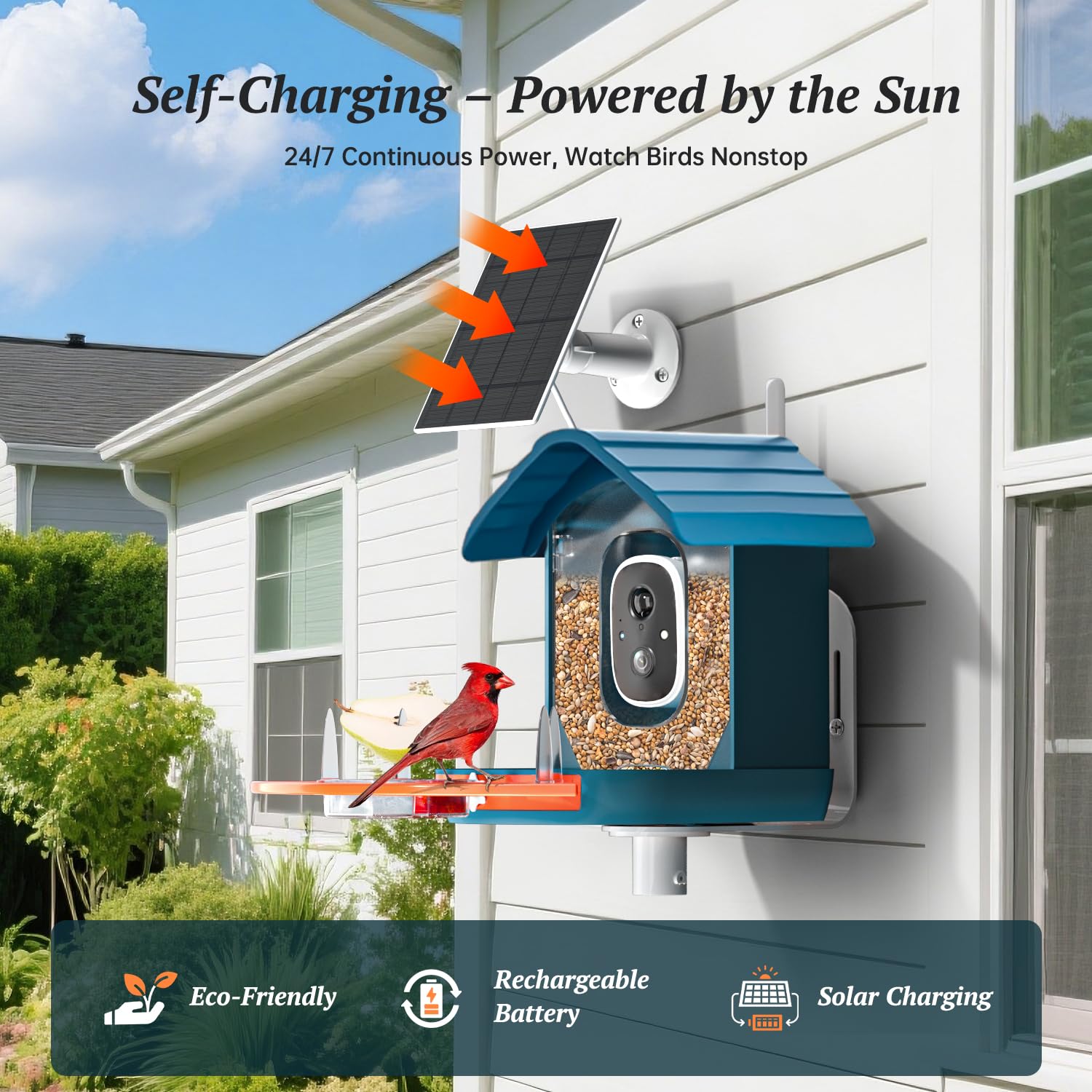DOCOON Smart Bird Feeder in garden setting