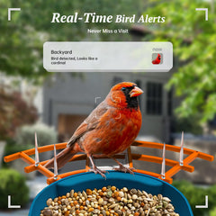 DOCOON Smart Bird Feeder showing 2K HD camera