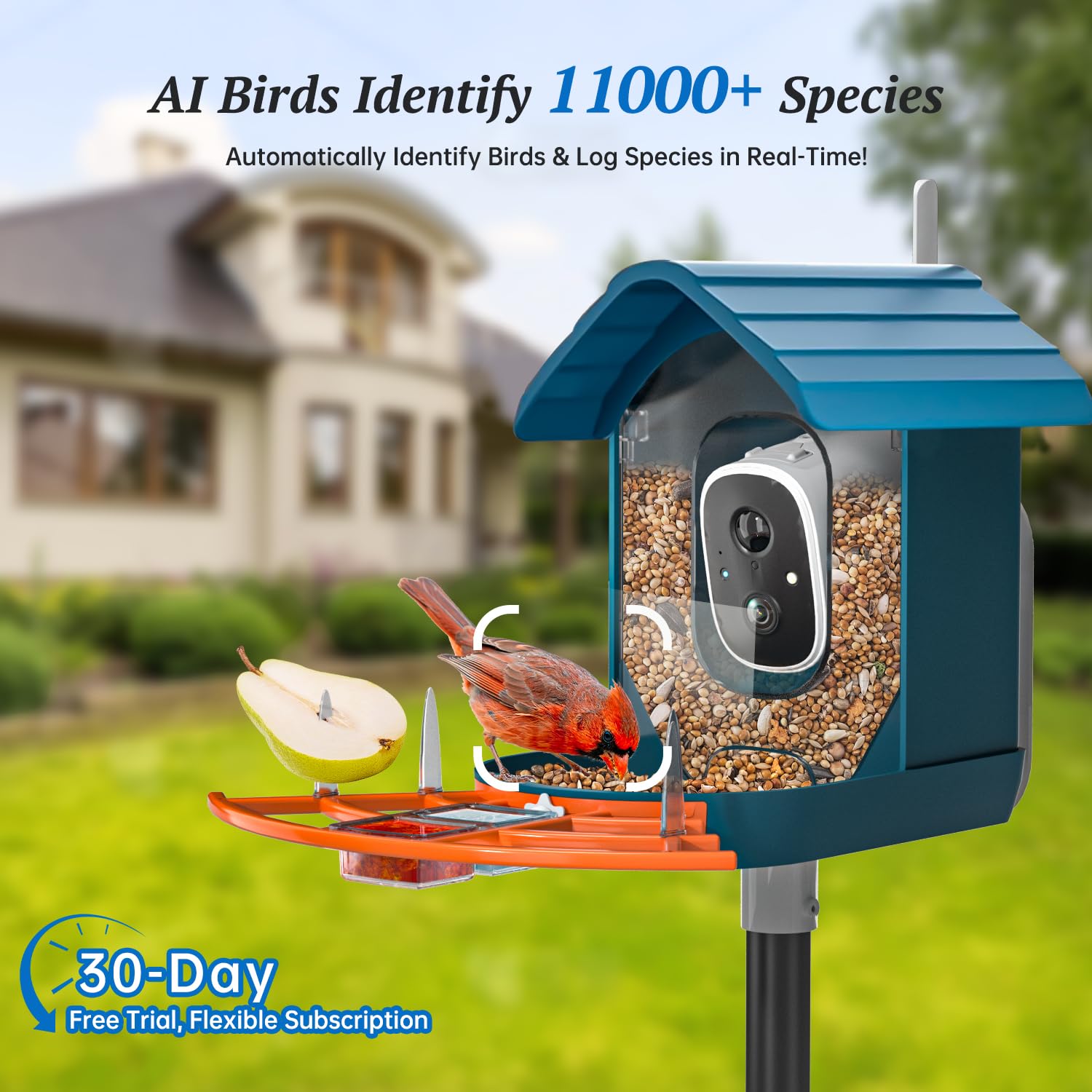 DOCOON Smart Bird Feeder side view with solar panel