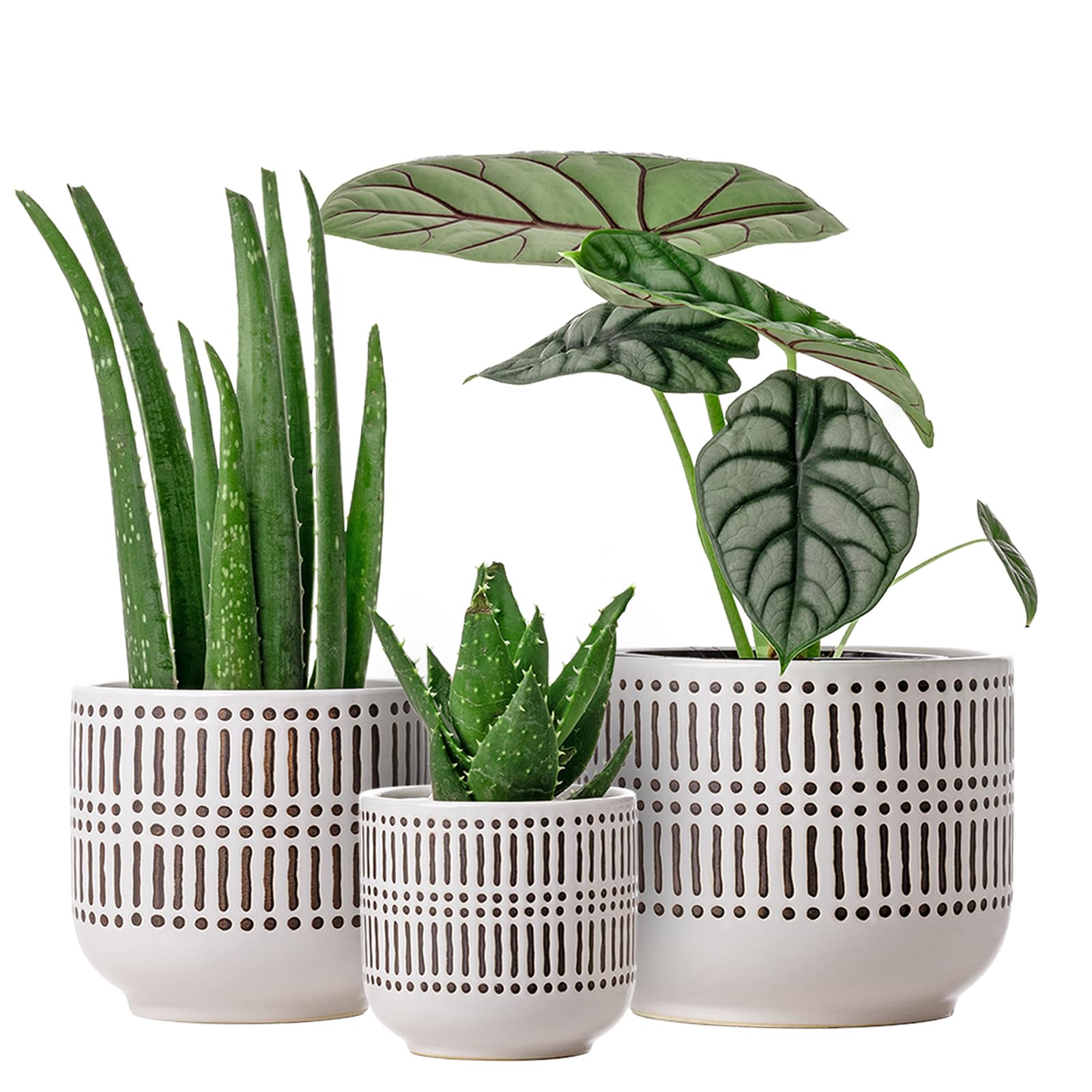 Docrin 3-Pack Ceramic Plant Pots Set, front view with drainage holes