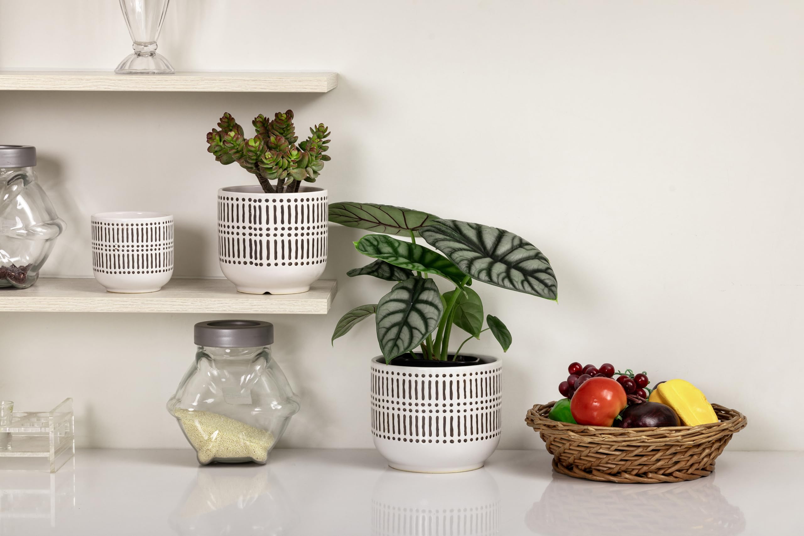 Docrin 5.3-inch ceramic pot with herb planted