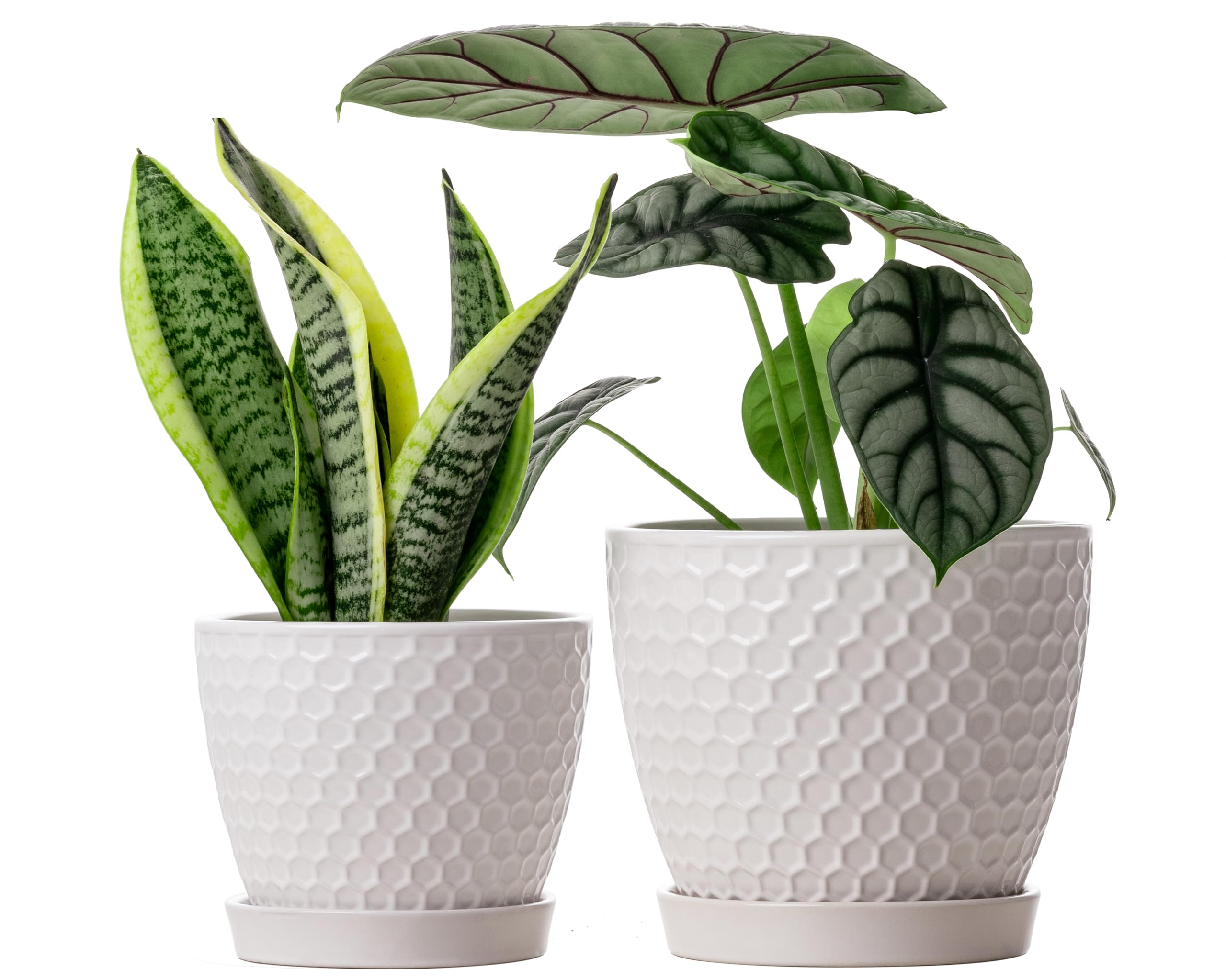 Docrin Ceramic Plant Pot Set of 2, 6.6 inches and 5.5 inches front view
