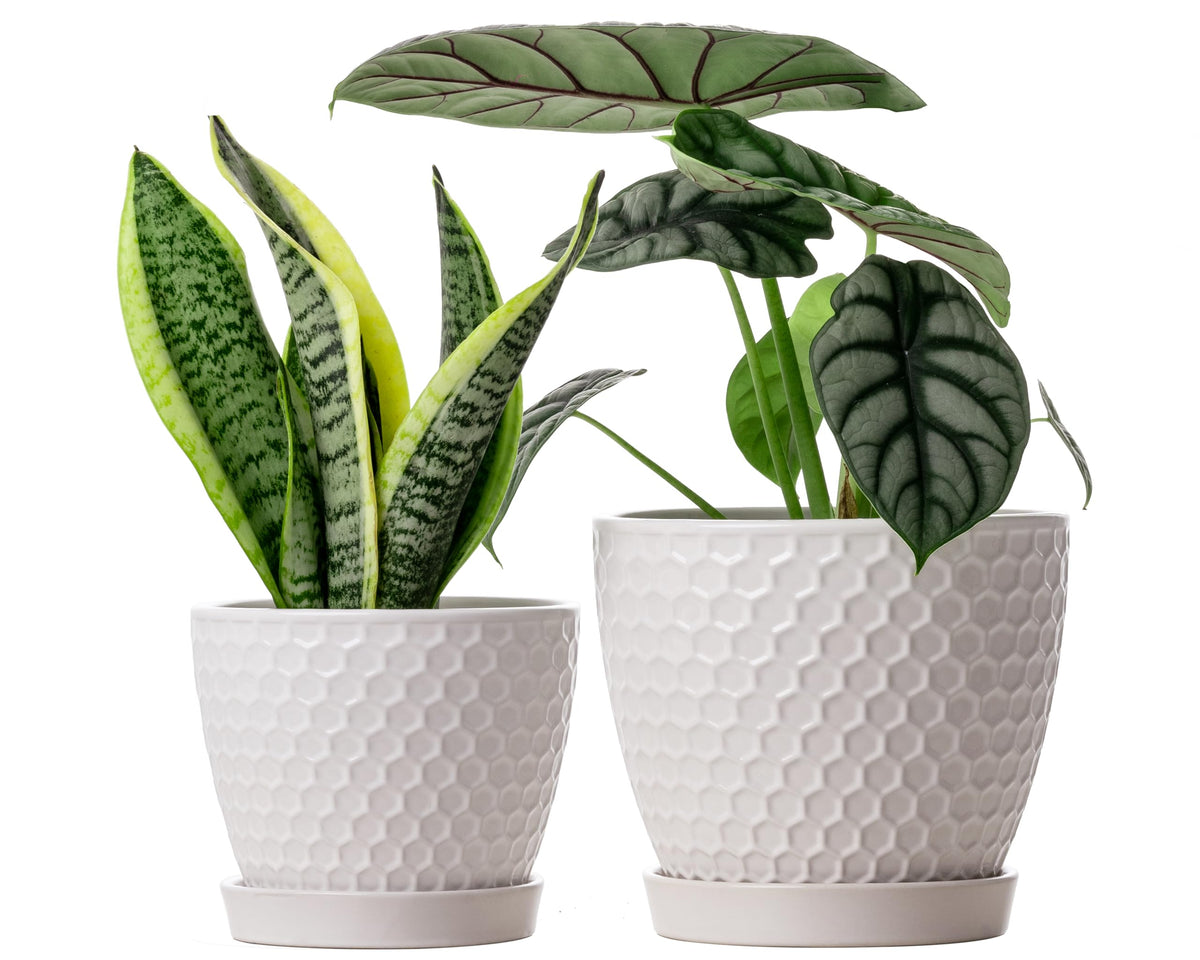 Docrin Ceramic Plant Pot Set of 2, 6.6 inches and 5.5 inches front view