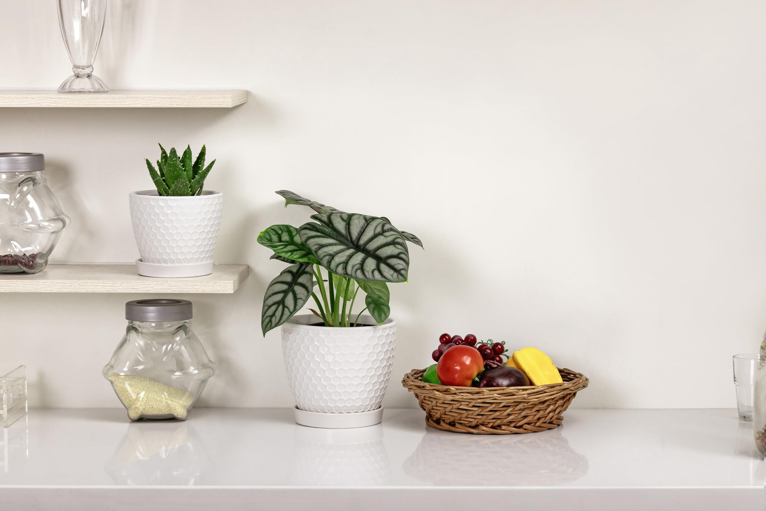Docrin Ceramic Plant Pots set displayed on a window sill