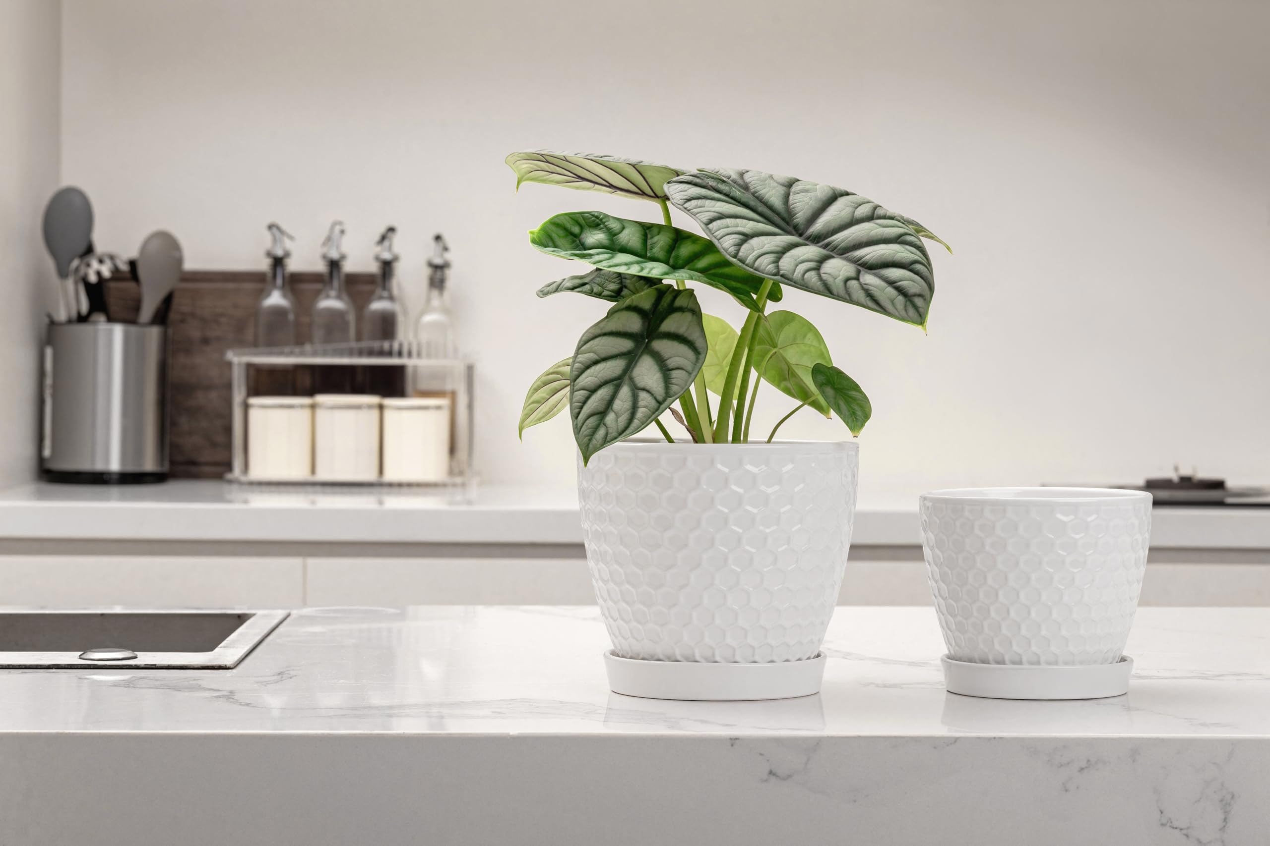 Docrin Ceramic Plant Pots set with succulents inside