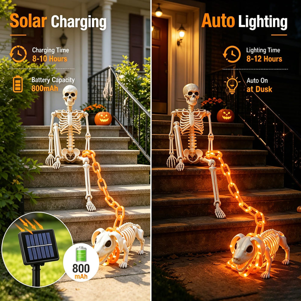 Dog skeleton from Lmtocs with 4.9ft glowing chain
