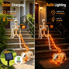 Dog skeleton from Lmtocs with 4.9ft glowing chain