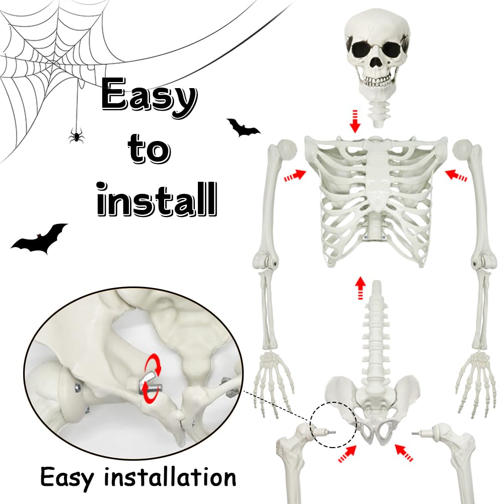 Dog skeleton included in the WODMAZ Halloween set