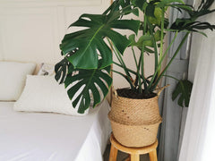 DOKOT Extra Large Seagrass Basket in a living room setting