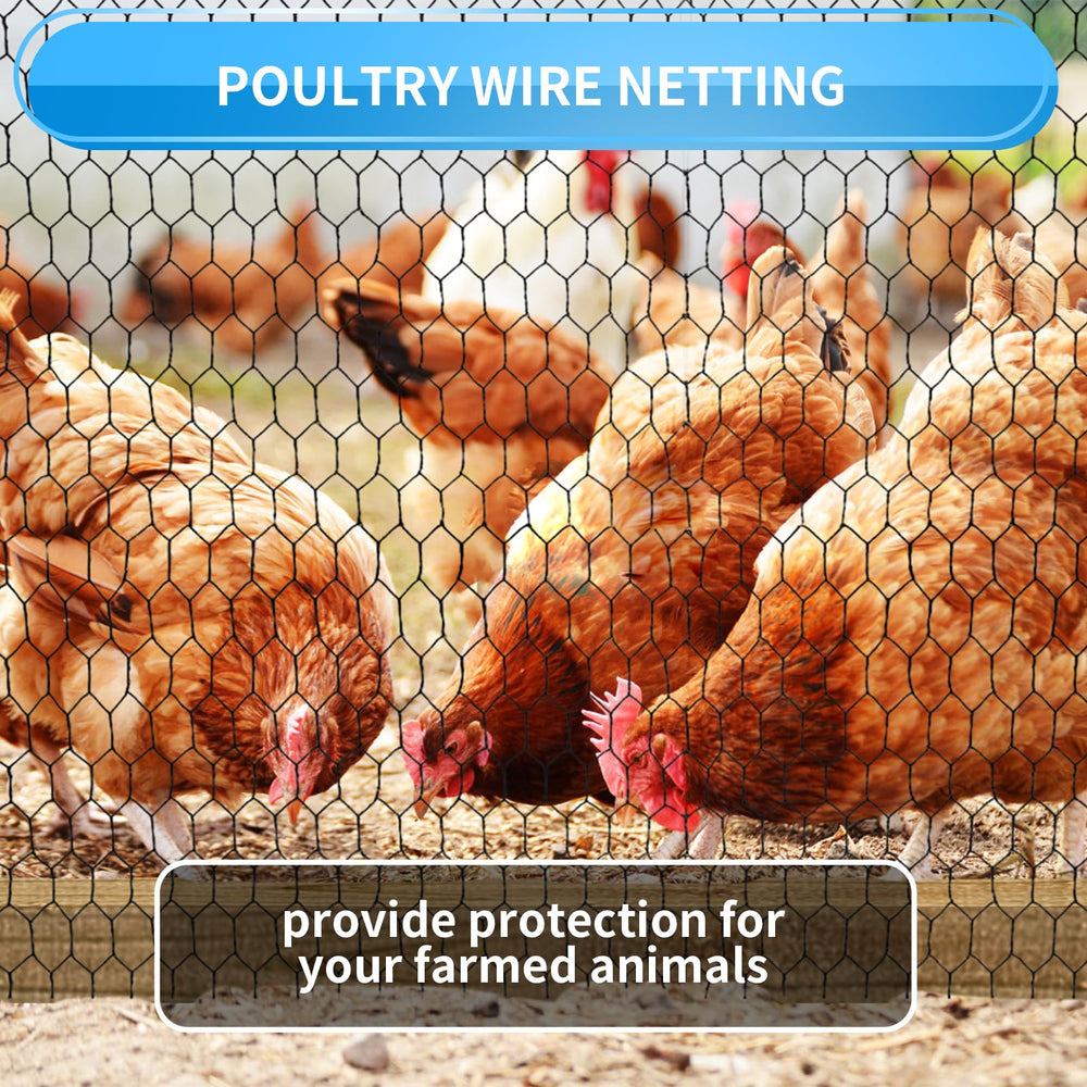 DOLEMODUO chicken wire mesh used for pet protection