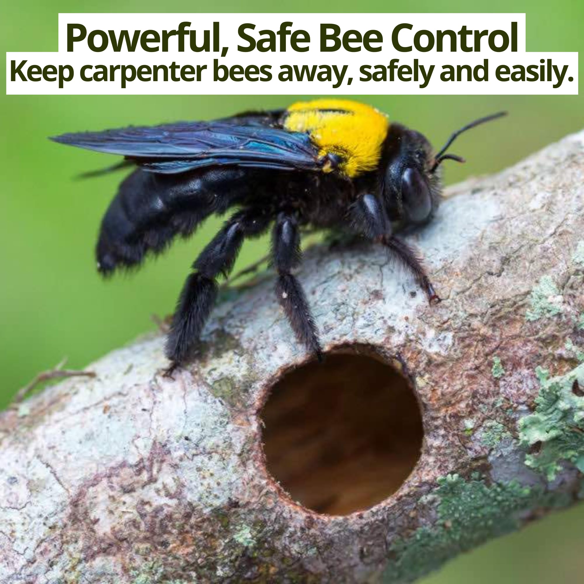 Donaldson Farms Carpenter Bee Spray close-up of bottle