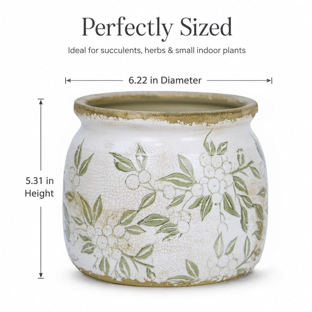 Dosayes Flower Pot beside modern farmhouse decor