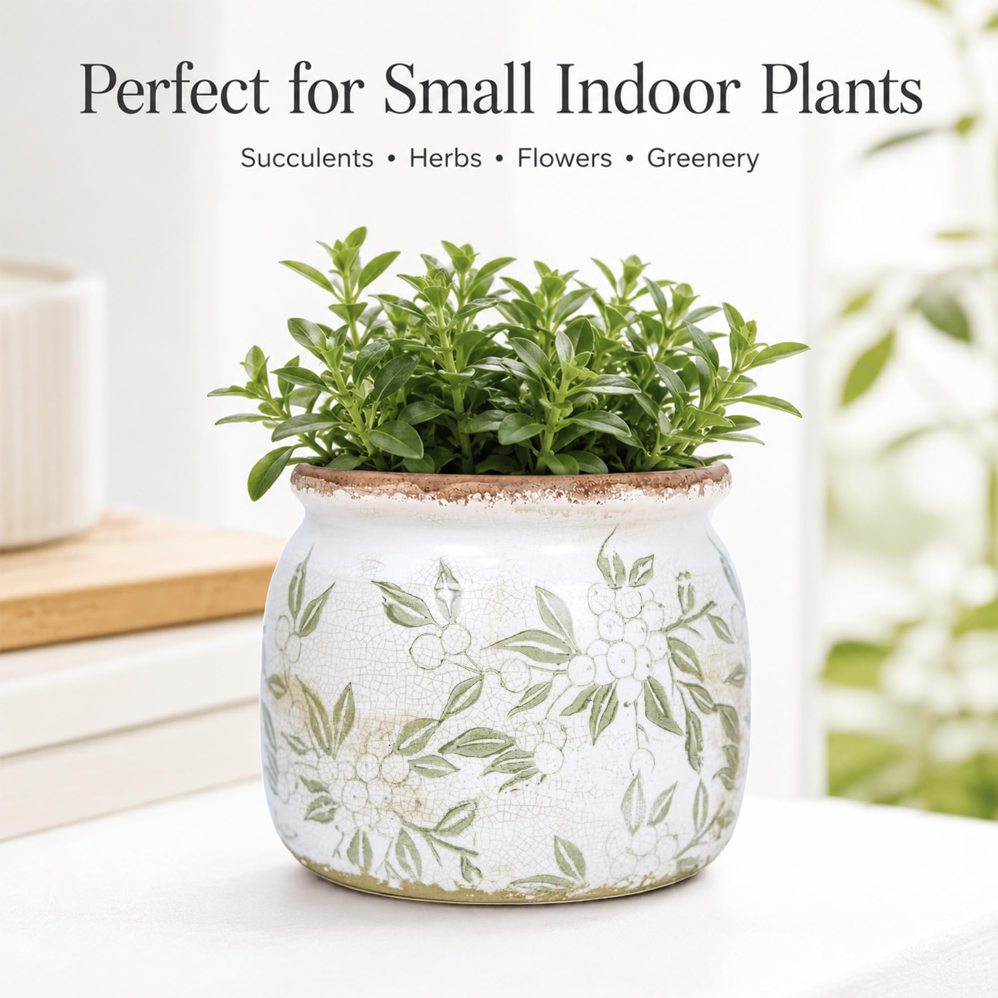 Dosayes Flower Pot displayed with plants in a home setting
