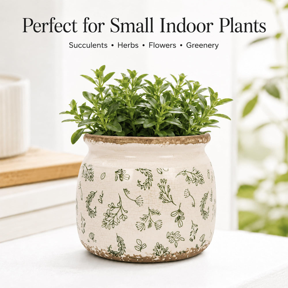 Dosayes Flower Pot in a living room setting