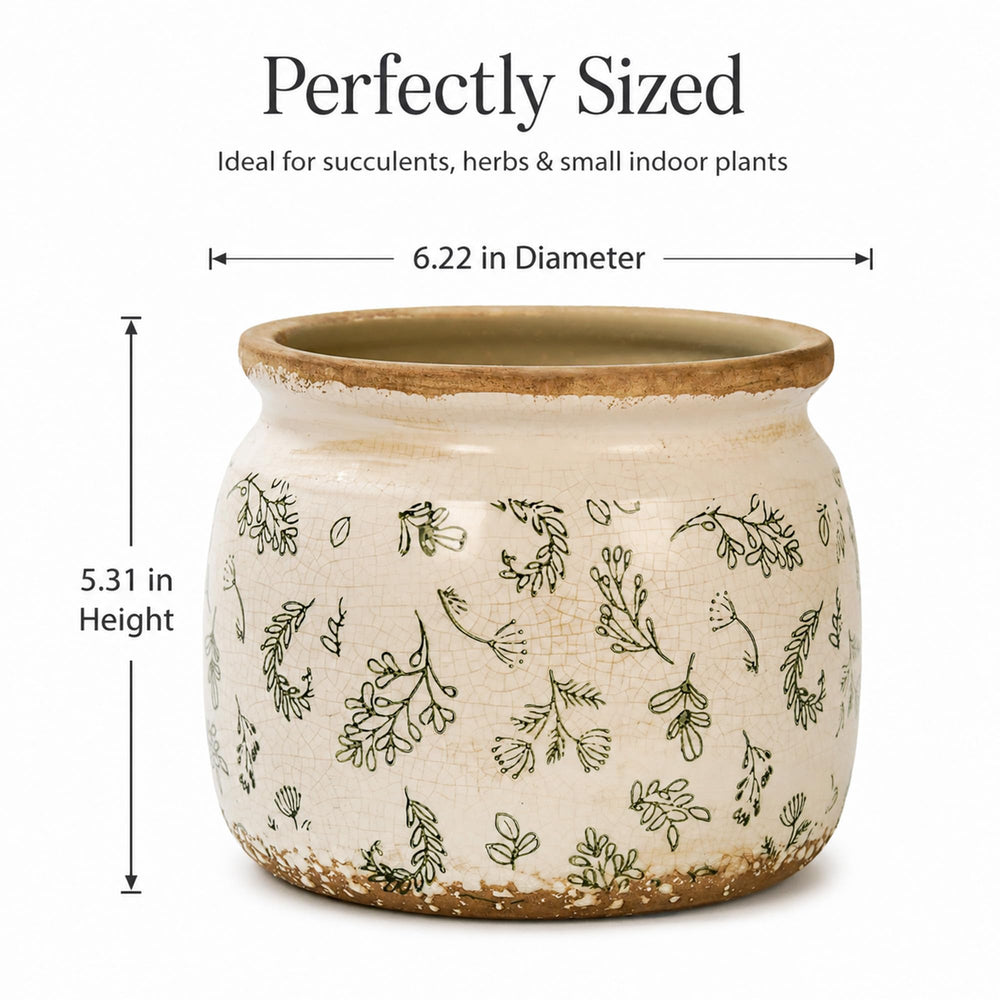 Dosayes Flower Pot placed on a coffee table