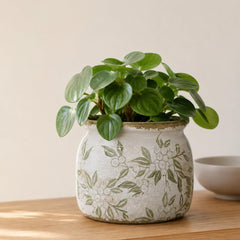Dosayes Flower Pot plum green colour front view