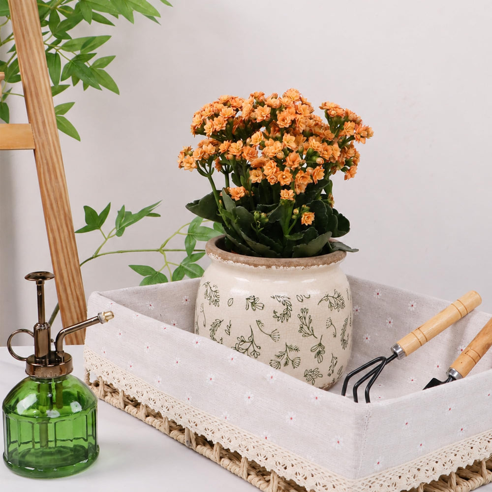 Dosayes Flower Pot with various indoor plants
