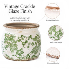 Dosayes Vintage Ceramic Flower Pot on a coffee table with plants