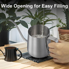 Doseno Small Watering Can in use watering indoor plants