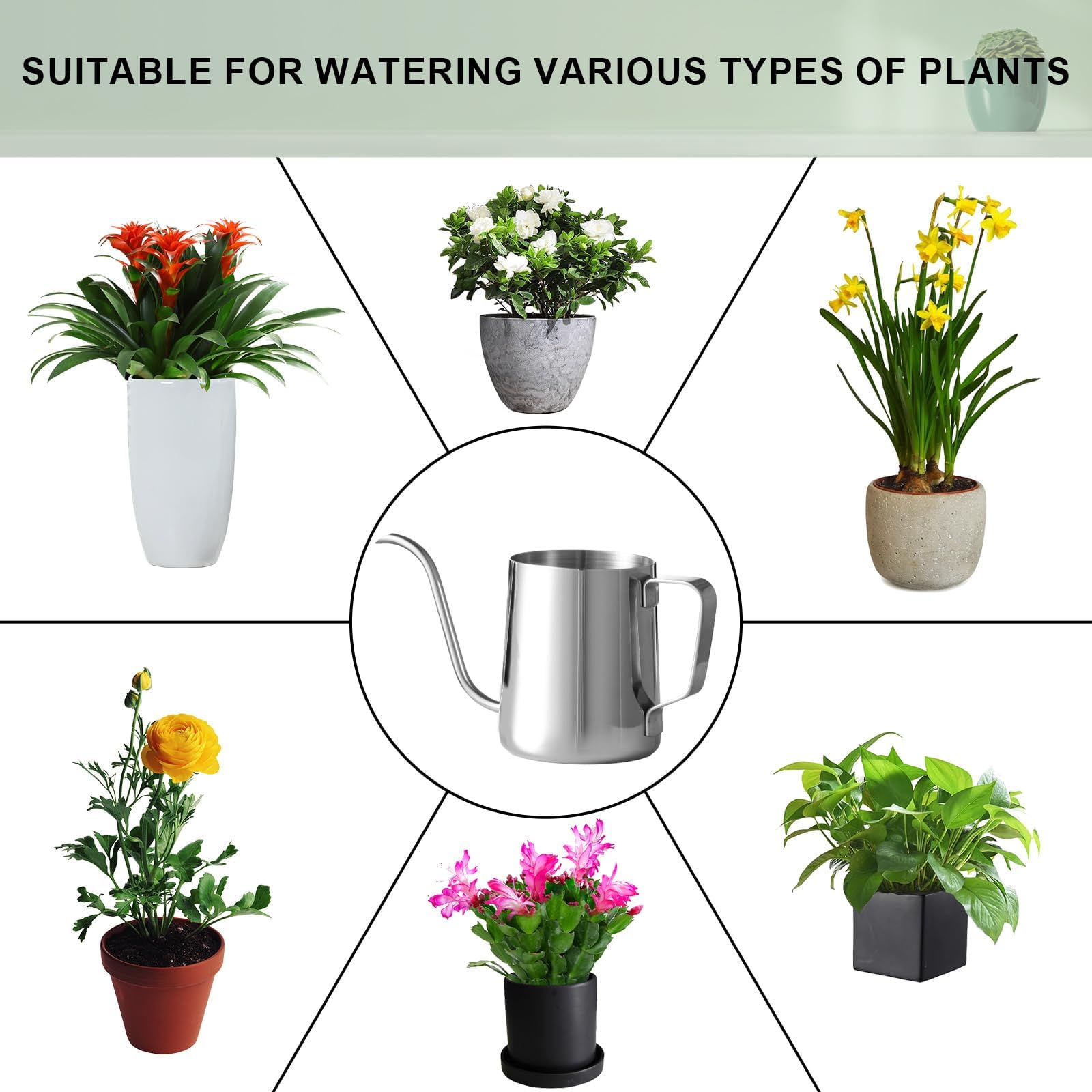 Doseno Small Watering Can packed with dimensions