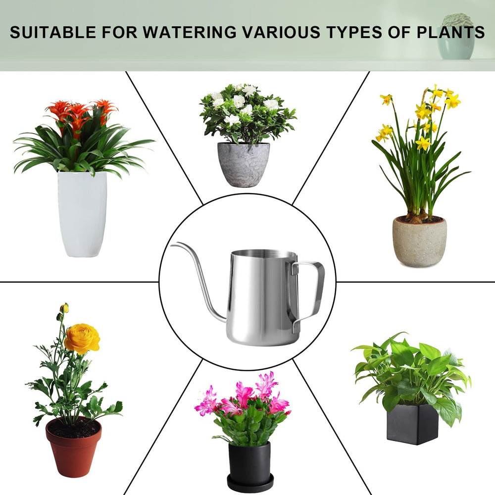 Doseno Small Watering Can packed with dimensions