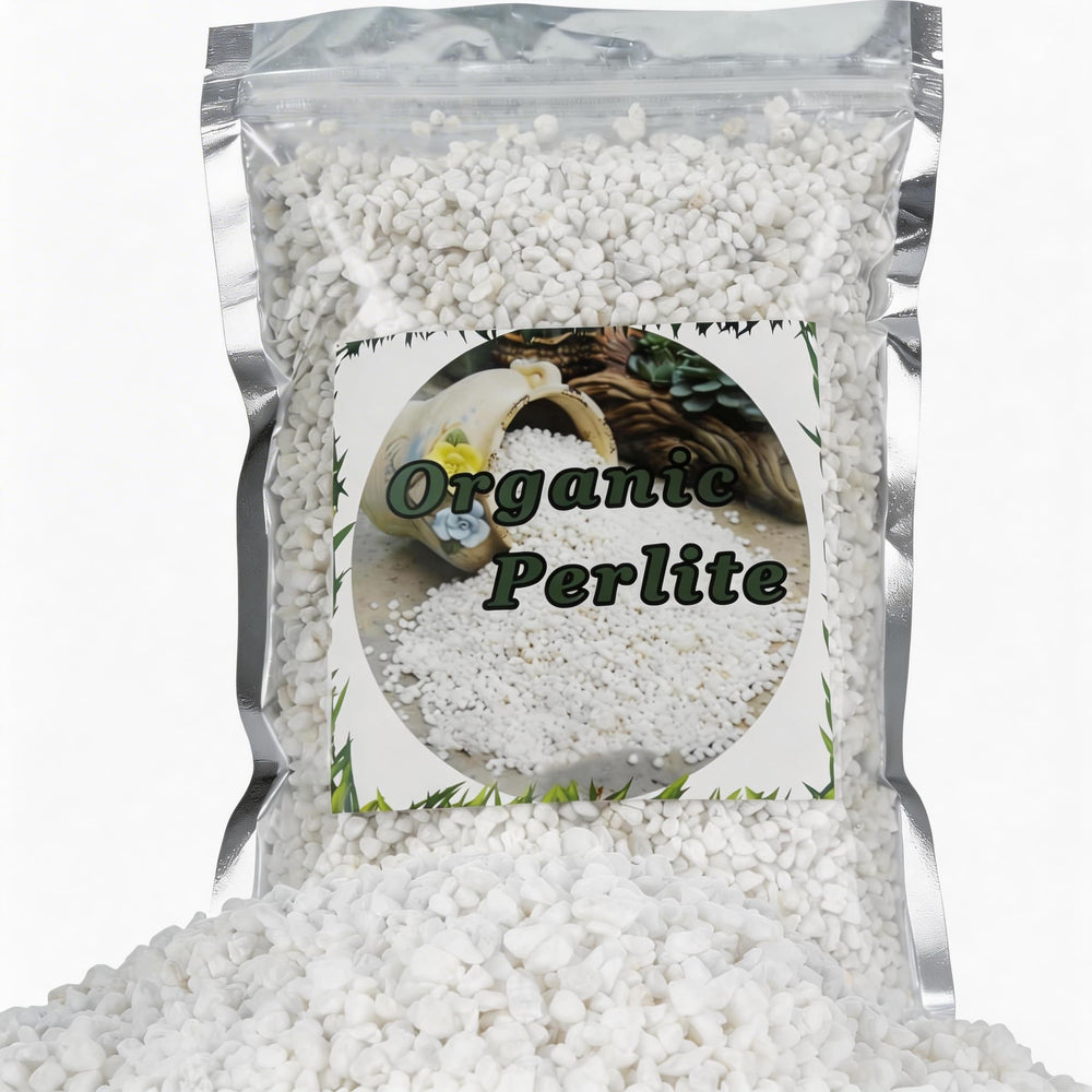 Doter Organic Perlite 4 quart bag front view
