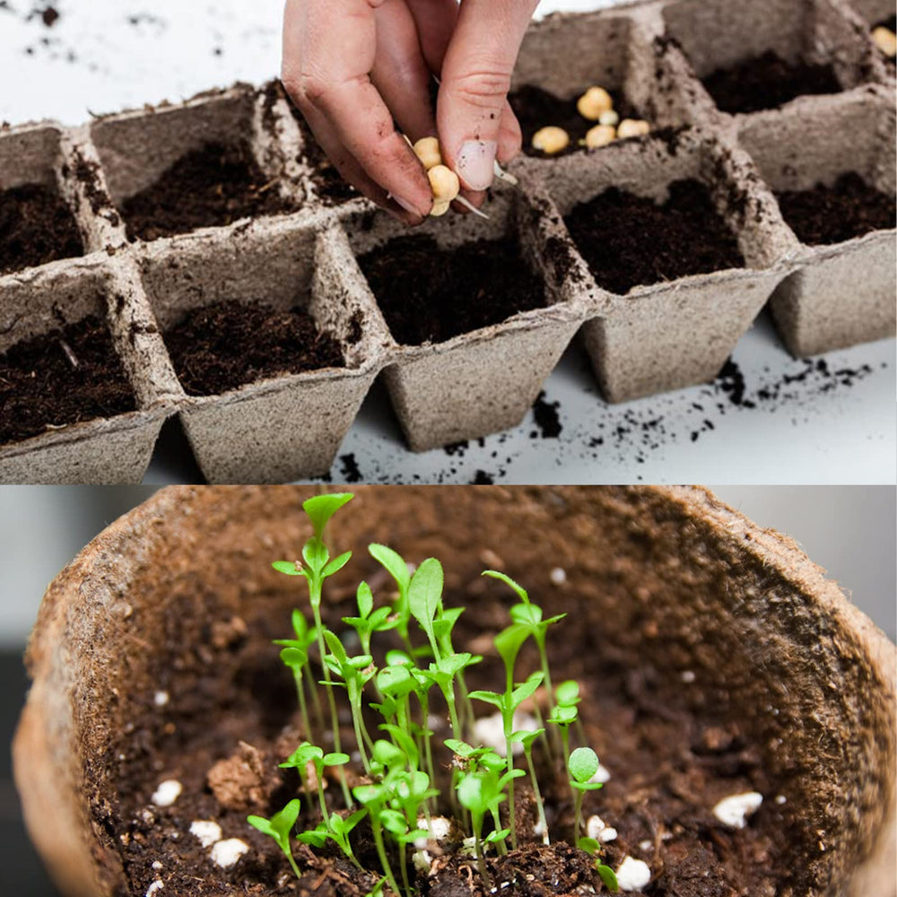 Doter Organic Sphagnum Peat Moss in gardening setup