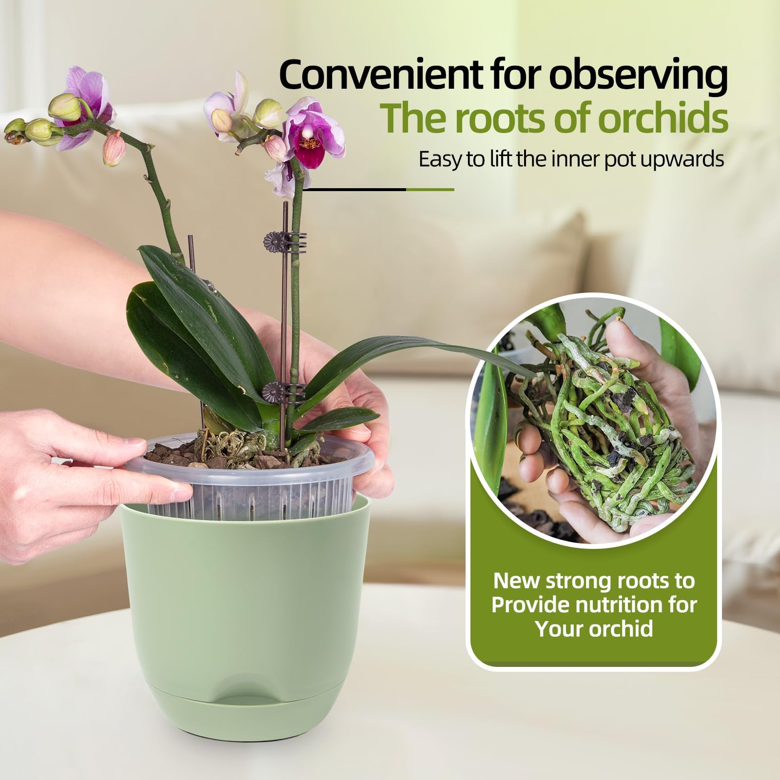 Double-layer design of QCQHDU Orchid Pot with elegant outer layer