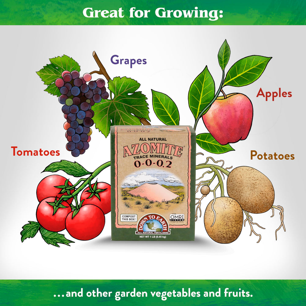 Down To Earth Organic Azomite Minerals Powder back view with ingredient information