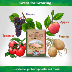 Down To Earth Organic Azomite Minerals Powder back view with ingredient information