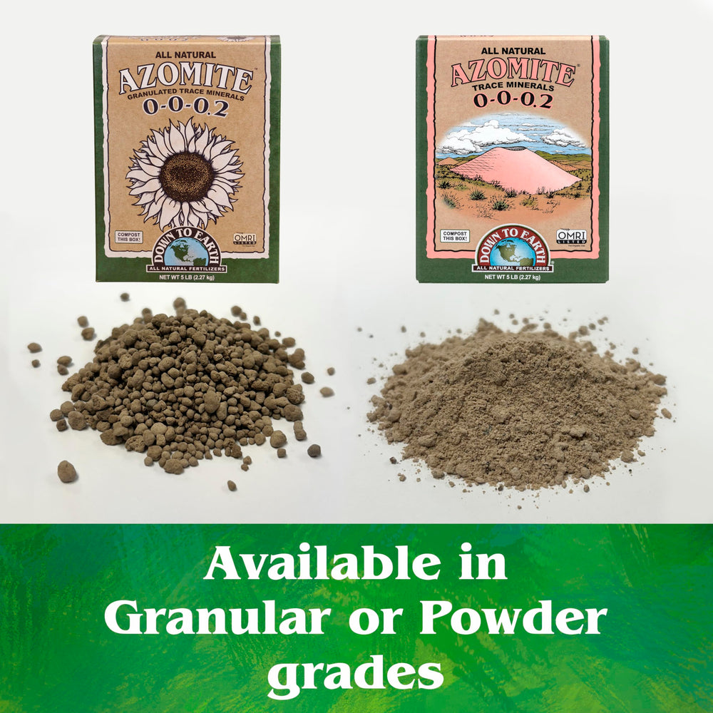 Down To Earth Organic Azomite Minerals Powder close-up of powder texture