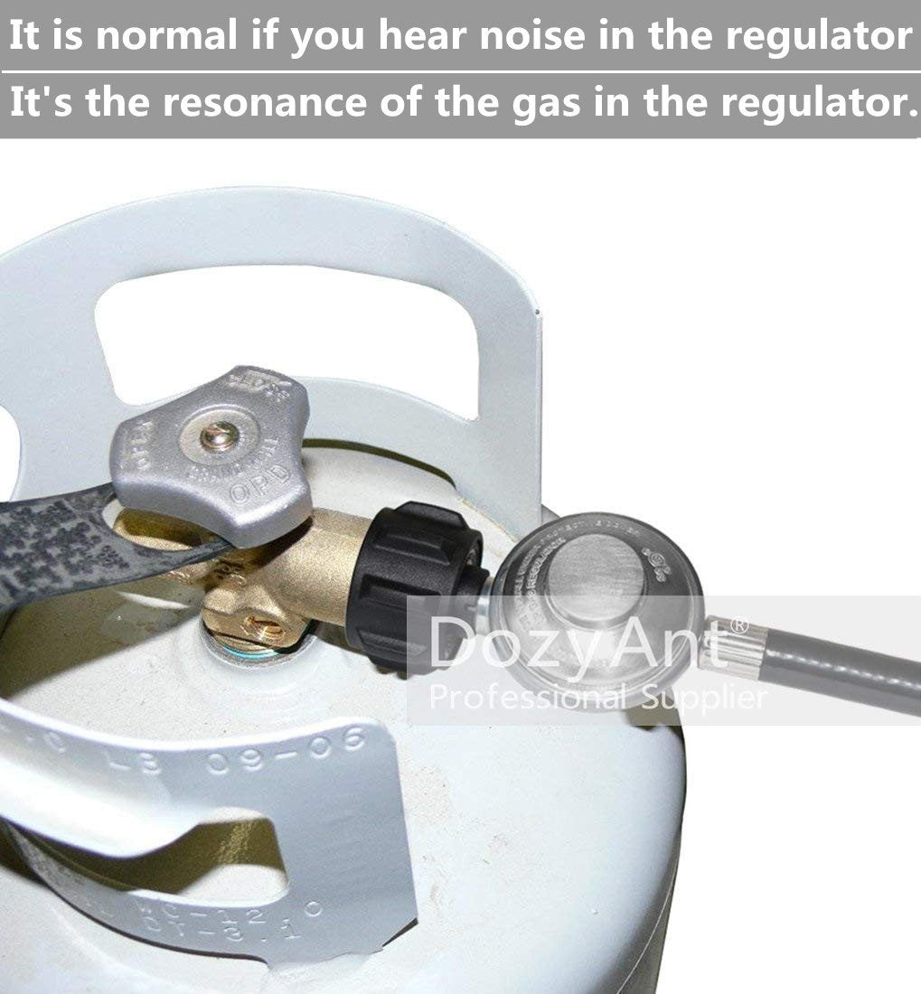 DOZYANT propane regulator connected to a camping stove